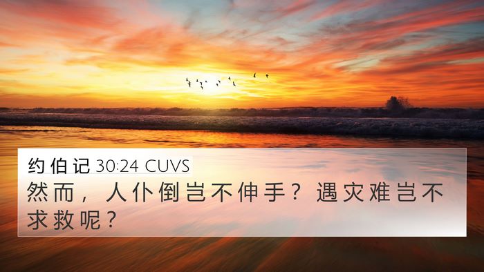 约 伯 记 30:24 CUVS 4K Wallpaper - 然 而 ， 人 仆 倒 岂 不 伸 手 ？ 遇 - 4K Wallpaper Bible Verse