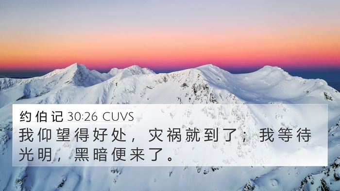 约 伯 记 30:26 CUVS Bible Verse Image