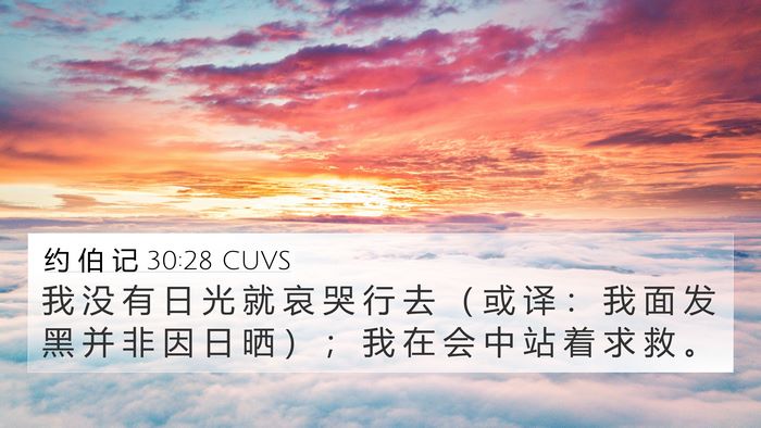 约 伯 记 30:28 CUVS Bible Verse Image