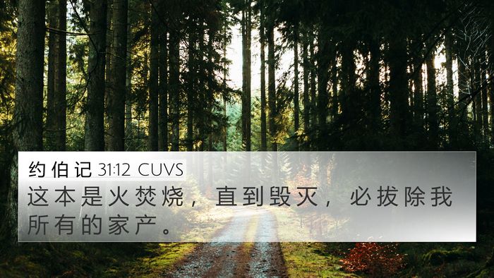 约 伯 记 31:12 CUVS 4K Wallpaper - 这 本 是 火 焚 烧 ， 直 到 毁 灭 ， - 4K Wallpaper Bible Verse