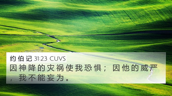 约 伯 记 31:23 CUVS Bible Verse Image