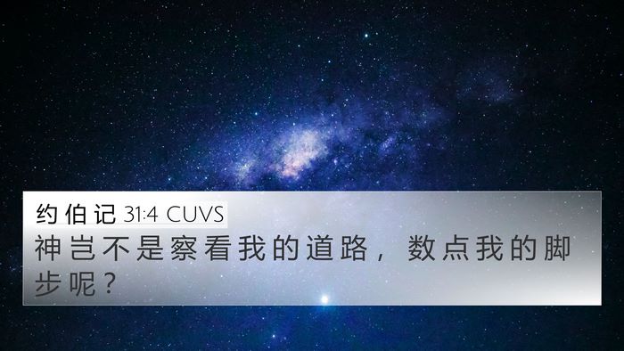 约 伯 记 31:4 CUVS Bible Verse Image
