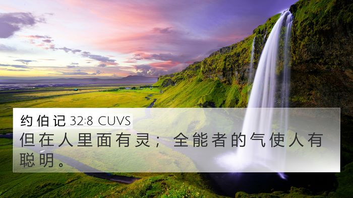 约 伯 记 32:8 CUVS Bible Verse Image