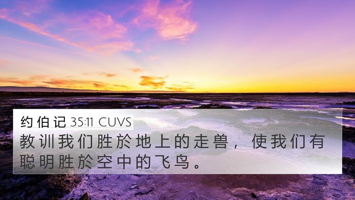 约 伯 记 35:11 CUVS Bible Verse Image