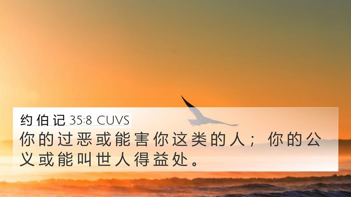 约 伯 记 35:8 CUVS 4K Wallpaper - 你 的 过 恶 或 能 害 你 这 类 的 人 - 4K Wallpaper Bible Verse