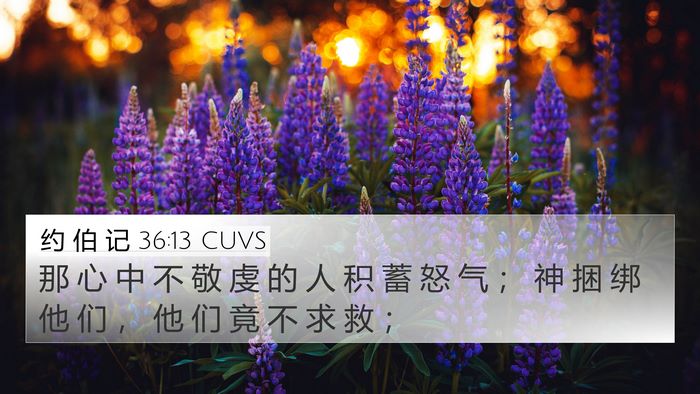 约 伯 记 36:13 CUVS Bible Verse Image