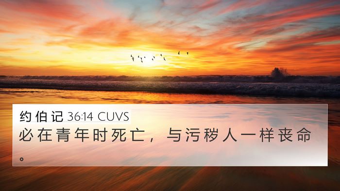 约 伯 记 36:14 CUVS Bible Verse Image