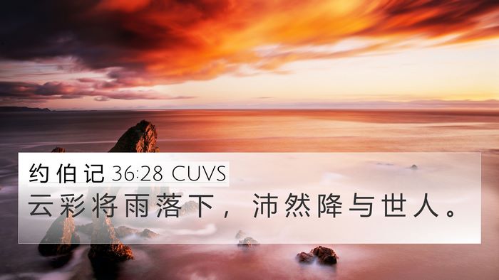 约 伯 记 36:28 CUVS Bible Verse Image