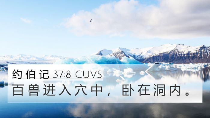 约 伯 记 37:8 CUVS Bible Verse Image