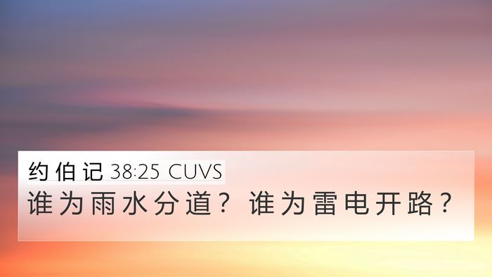 约 伯 记 38:25 CUVS Bible Verse Image