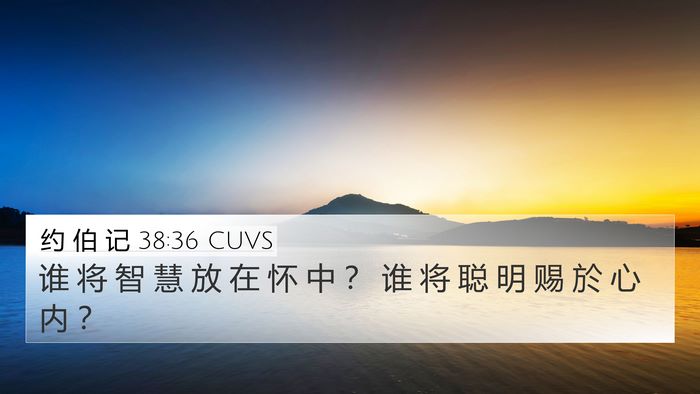 约 伯 记 38:36 CUVS Bible Verse Image