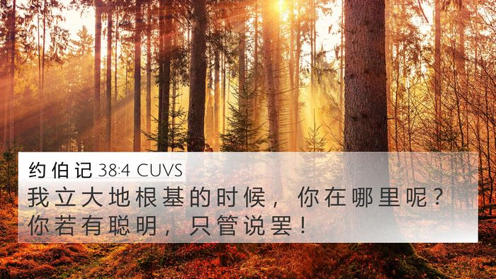 约 伯 记 38:4 CUVS Bible Verse Image
