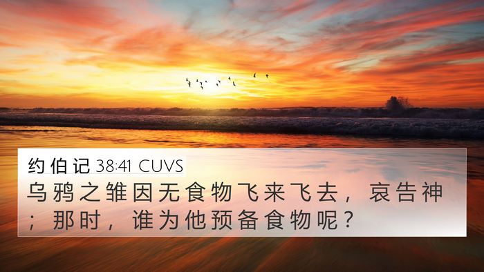 约 伯 记 38:41 CUVS Bible Verse Image