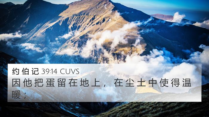 约 伯 记 39:14 CUVS Bible Verse Image