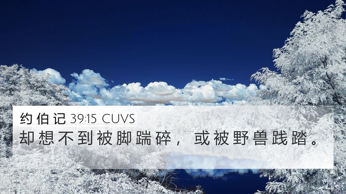 约 伯 记 39:15 CUVS 4K Wallpaper - 却 想 不 到 被 脚 踹 碎 ， 或 被 野 - 4K Wallpaper Bible Verse