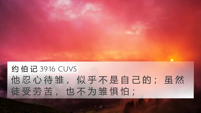 约 伯 记 39:16 CUVS Bible Verse Image