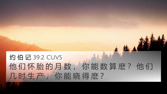 约 伯 记 39:2 CUVS 4K Wallpaper - 他 们 怀 胎 的 月 数 ， 你 能 数 算 - 4K Wallpaper Bible Verse