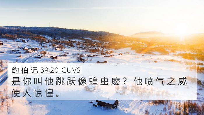 约 伯 记 39:20 CUVS 4K Wallpaper - 是 你 叫 他 跳 跃 像 蝗 虫 麽 ？ 他 - 4K Wallpaper Bible Verse