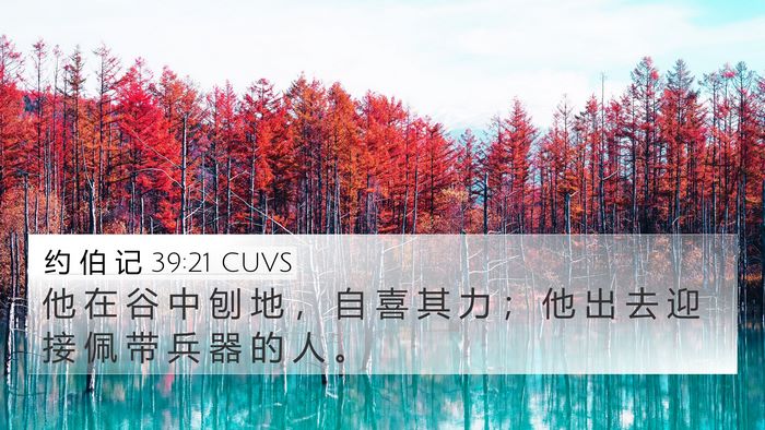 约 伯 记 39:21 CUVS Bible Verse Image