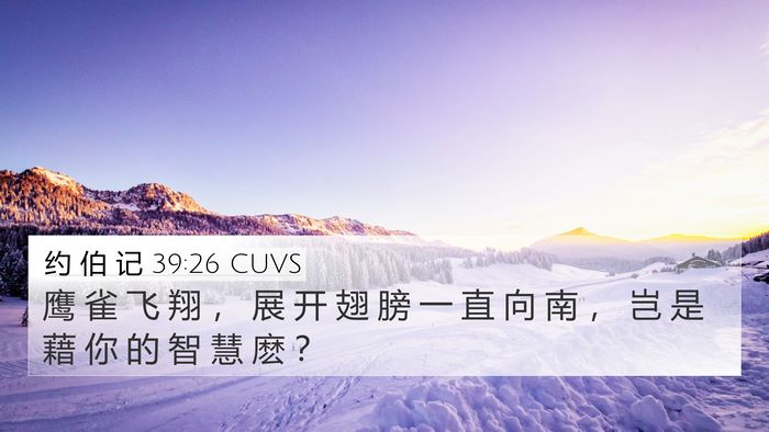 约 伯 记 39:26 CUVS Bible Verse Image