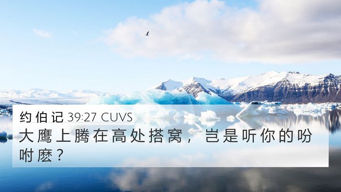 约 伯 记 39:27 CUVS Bible Verse Image