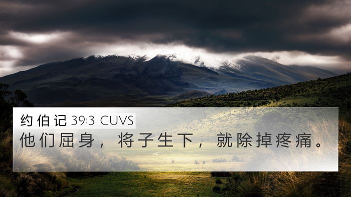 约 伯 记 39:3 CUVS 4K Wallpaper - 他 们 屈 身 ， 将 子 生 下 ， 就 除 - 4K Wallpaper Bible Verse