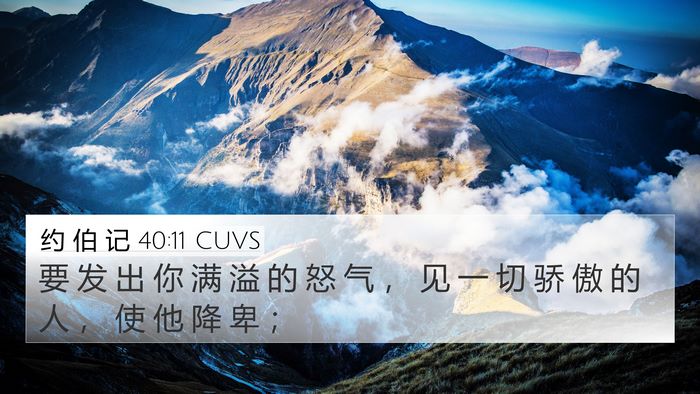 约 伯 记 40:11 CUVS Bible Verse Image