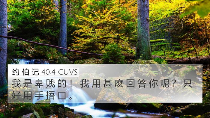 约 伯 记 40:4 CUVS Bible Verse Image