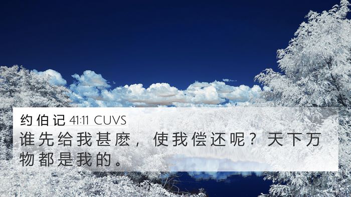 约 伯 记 41:11 CUVS Bible Verse Image