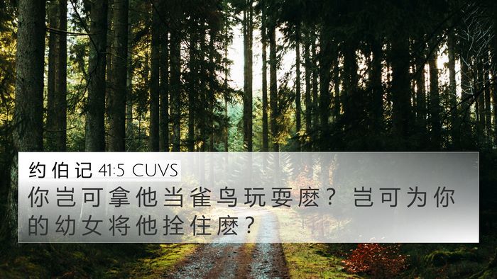 约 伯 记 41:5 CUVS 4K Wallpaper - 你 岂 可 拿 他 当 雀 鸟 玩 耍 麽 ？ - 4K Wallpaper Bible Verse