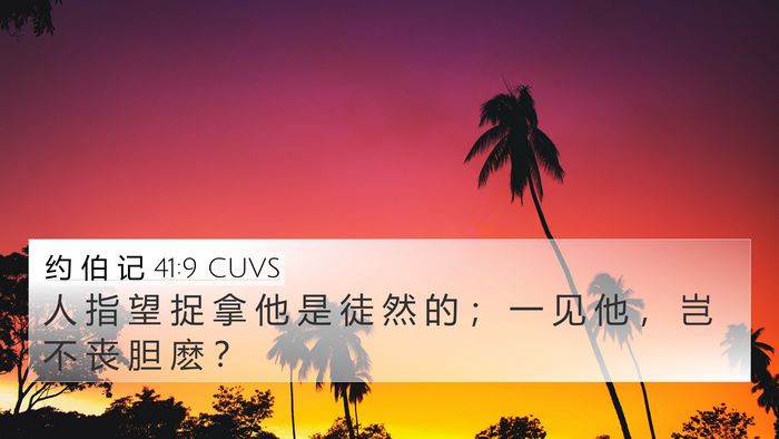 约 伯 记 41:9 CUVS 4K Wallpaper - 人 指 望 捉 拿 他 是 徒 然 的 ； 一 - 4K Wallpaper Bible Verse