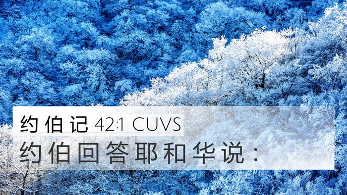 约 伯 记 42:1 CUVS 4K Wallpaper - 约 伯 回 答 耶 和 华 说 - 4K Wallpaper Bible Verse