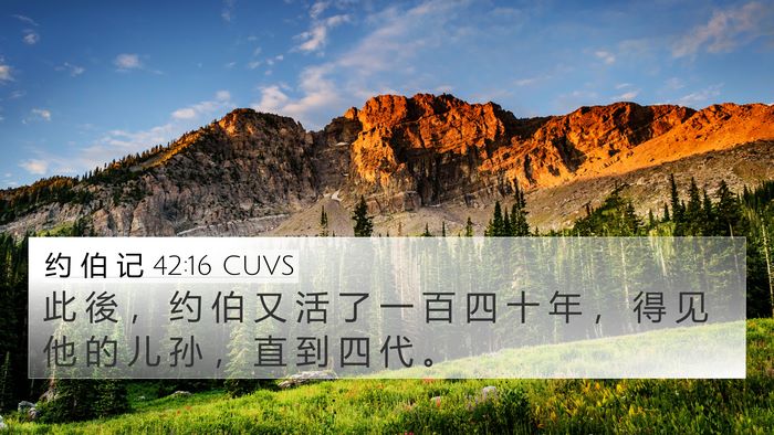约 伯 记 42:16 CUVS Bible Verse Image