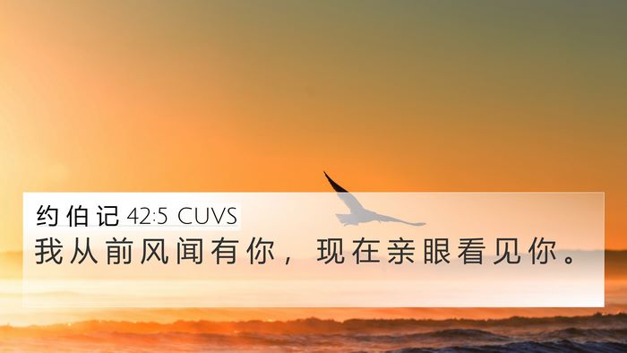 约 伯 记 42:5 CUVS Bible Verse Image