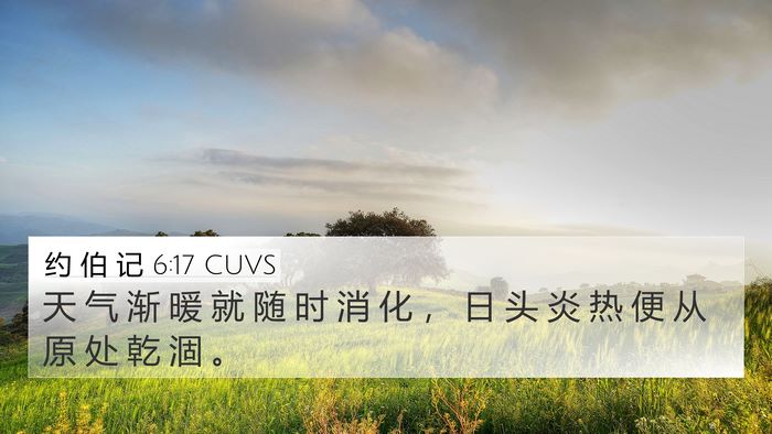 约 伯 记 6:17 CUVS 4K Wallpaper - 天 气 渐 暖 就 随 时 消 化 ， 日 头 - 4K Wallpaper Bible Verse