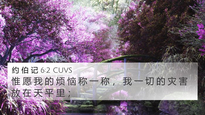 约 伯 记 6:2 CUVS Bible Verse Image