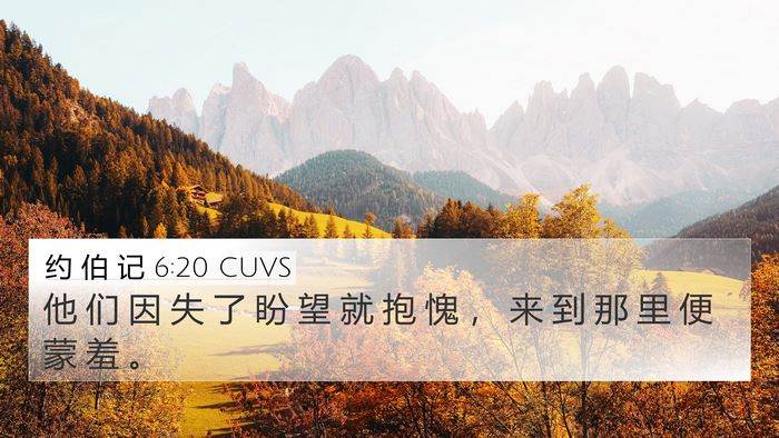 约 伯 记 6:20 CUVS Bible Verse Image