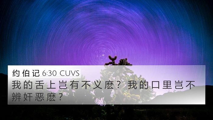 约 伯 记 6:30 CUVS Bible Verse Image