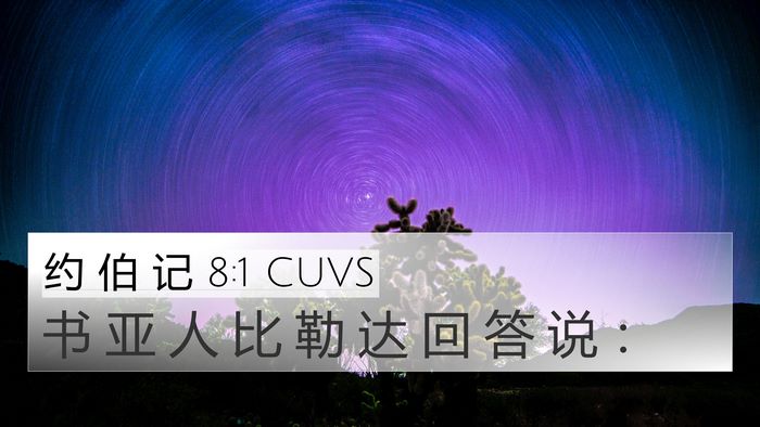 约 伯 记 8:1 CUVS Bible Verse Image