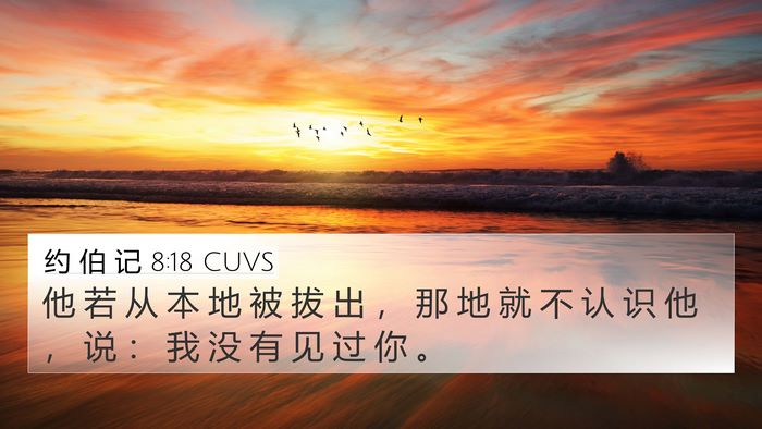 约 伯 记 8:18 CUVS Bible Verse Image