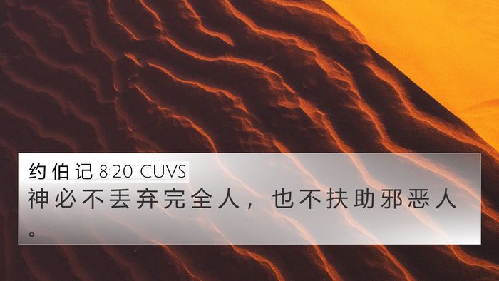 约 伯 记 8:20 CUVS Bible Verse Image