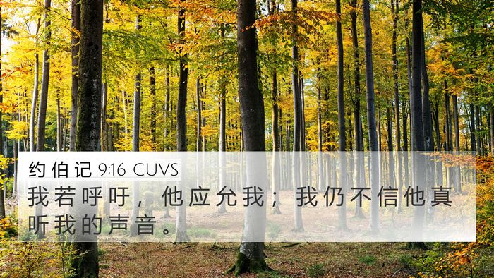 约 伯 记 9:16 CUVS Bible Verse Image