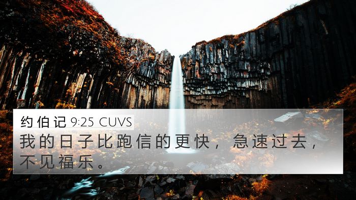 约 伯 记 9:25 CUVS Bible Verse Image