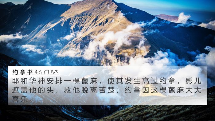 约 拿 书 4:6 CUVS Bible Verse Image