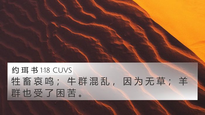 约 珥 书 1:18 CUVS 4K Wallpaper - 牲 畜 哀 鸣 ； 牛 群 混 乱 ， 因 为 - 4K Wallpaper Bible Verse