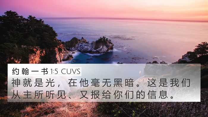 约 翰 一 书 1:5 CUVS Bible Verse Image