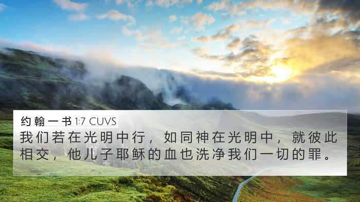 约 翰 一 书 1:7 CUVS Bible Verse Image