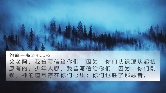约 翰 一 书 2:14 CUVS Bible Verse Image