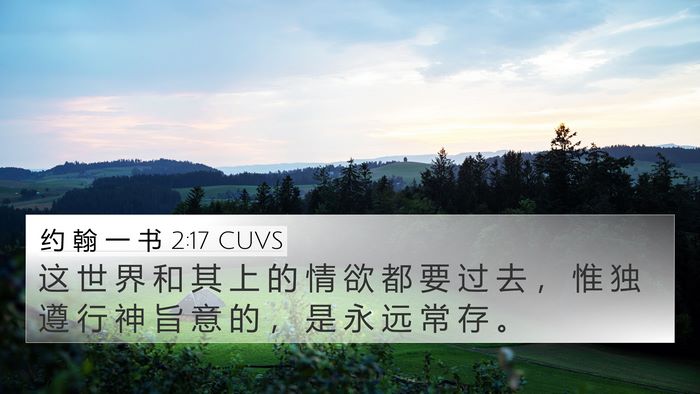 约 翰 一 书 2:17 CUVS Bible Verse Image