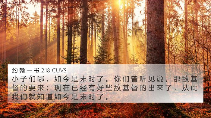 约 翰 一 书 2:18 CUVS Bible Verse Image